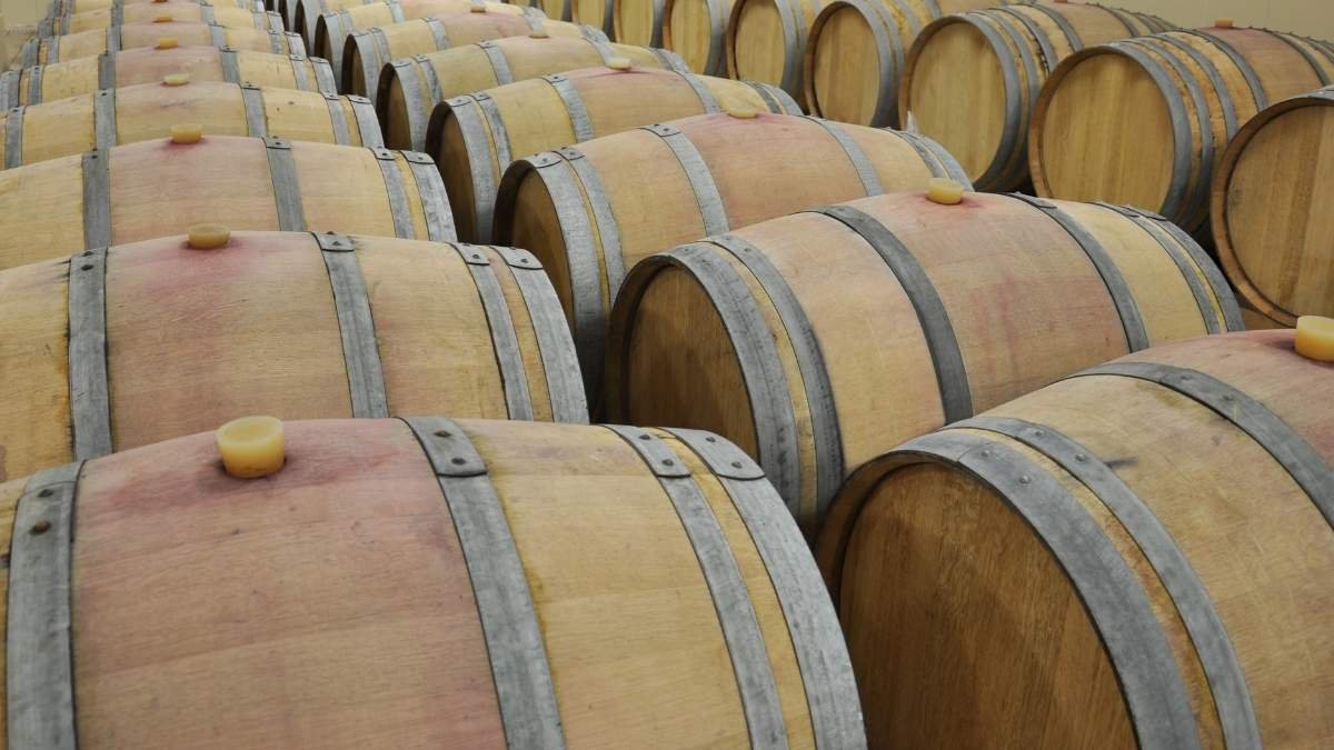 La AREV pide ‘con urgencia’ fondos para el sector vitivinícola
