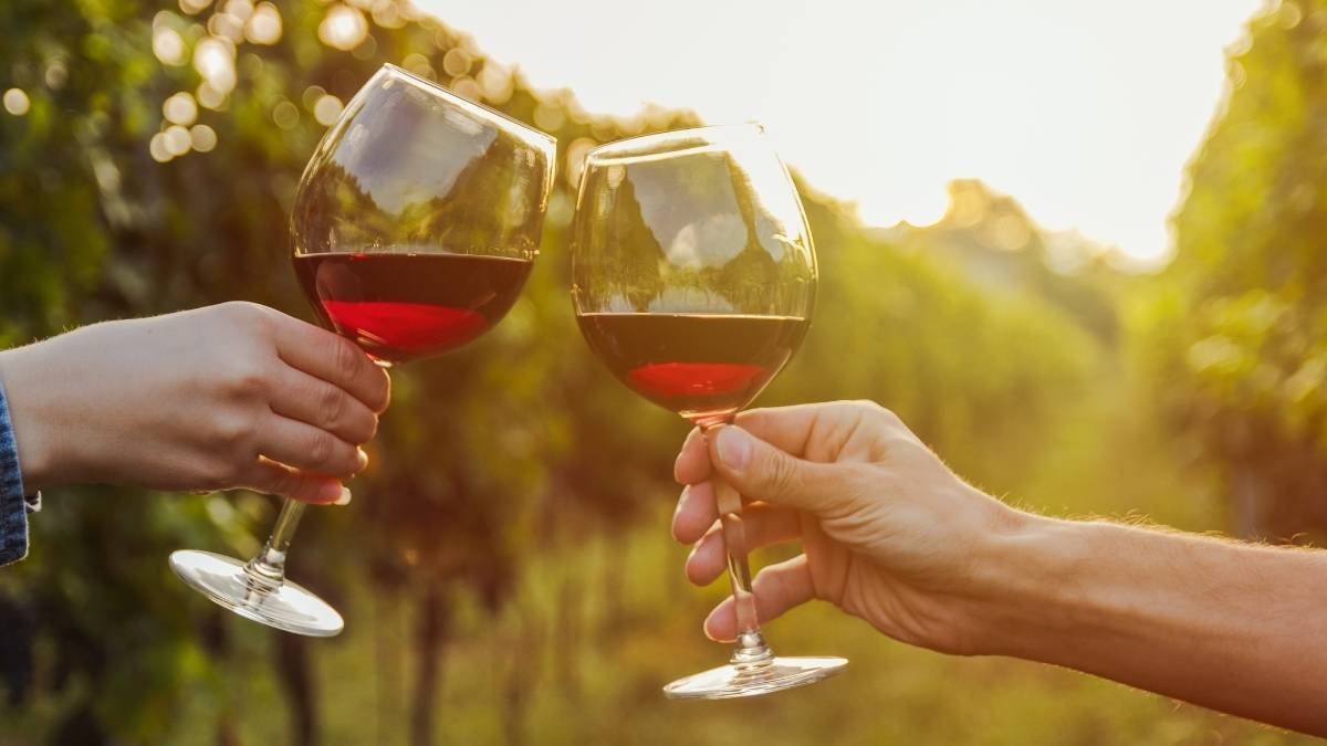 Se flexibilizan las medidas del Programa de Apoyo al Sector del Vino