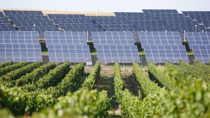 agricultores contra parques fotovoltaicos campo