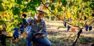 Plataforma Agroalimentaria en RED (proyecto PAN)