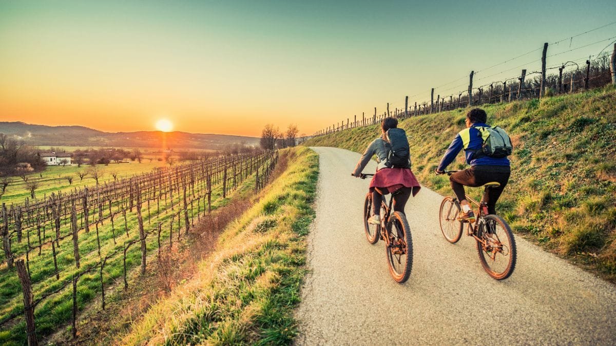 Estas son las Rutas del Vino más visitadas de España