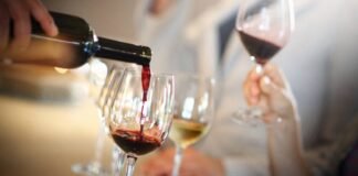 catas de vino