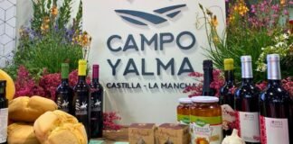 convocatoria campo y alma