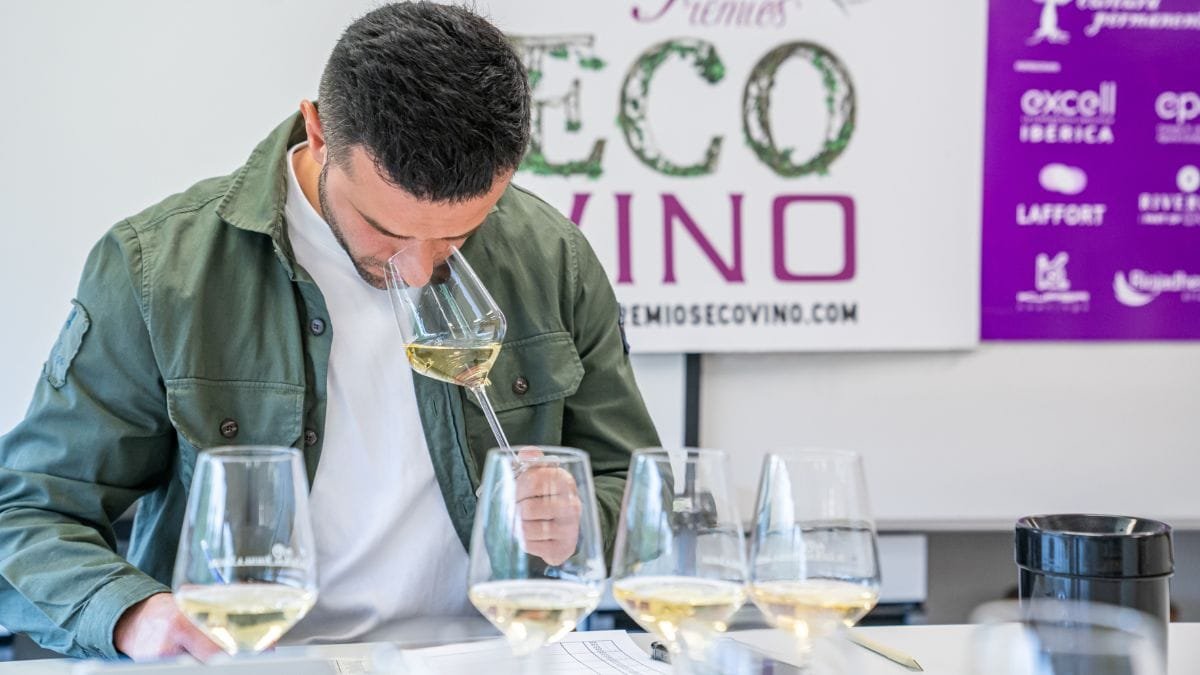 Mejores vinos ecológicos según los Premios Ecovino 2024