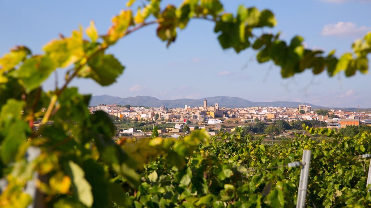 Los pueblos con viñedo mantienen cerca de un 53% más de población