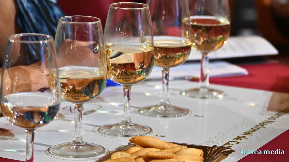 Bodegas Crisve celebra su tradicional Concurso de Catadores de Vino