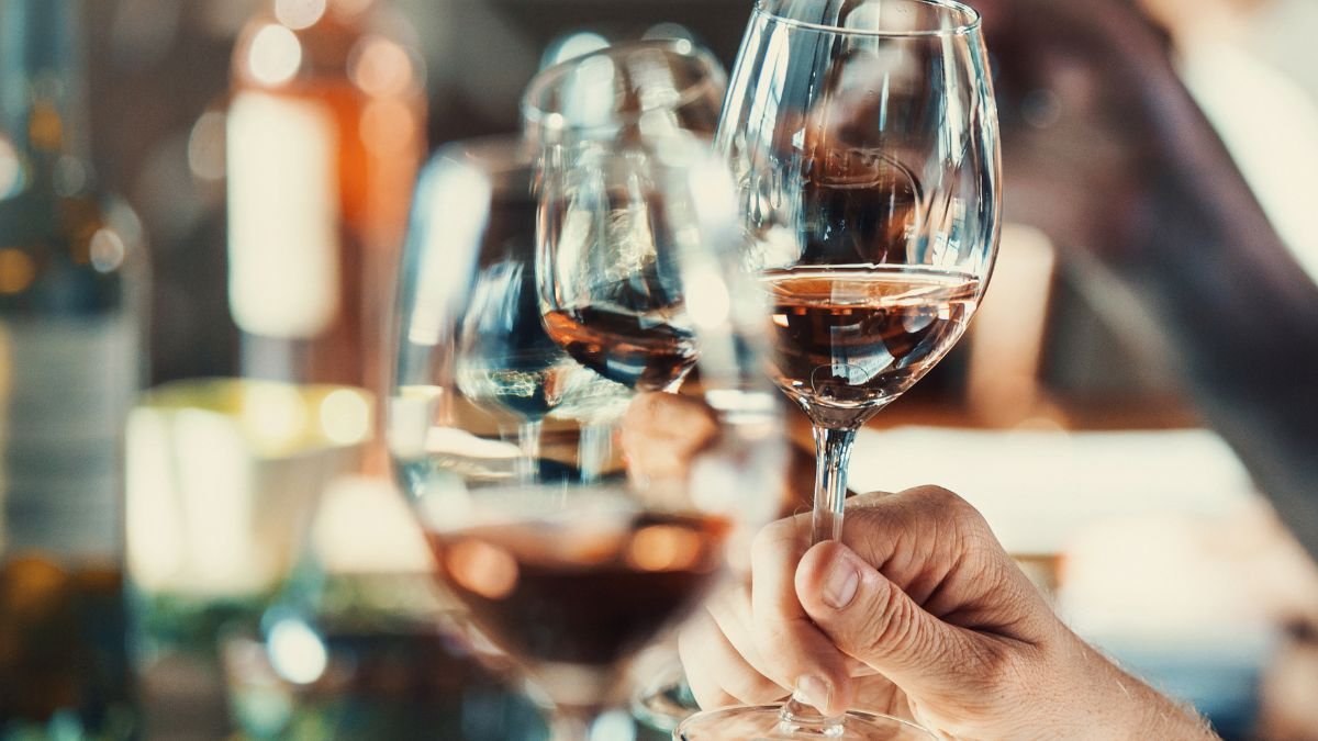 «Escuela de Vino» llega con nuevos cursos gratuitos este septiembre