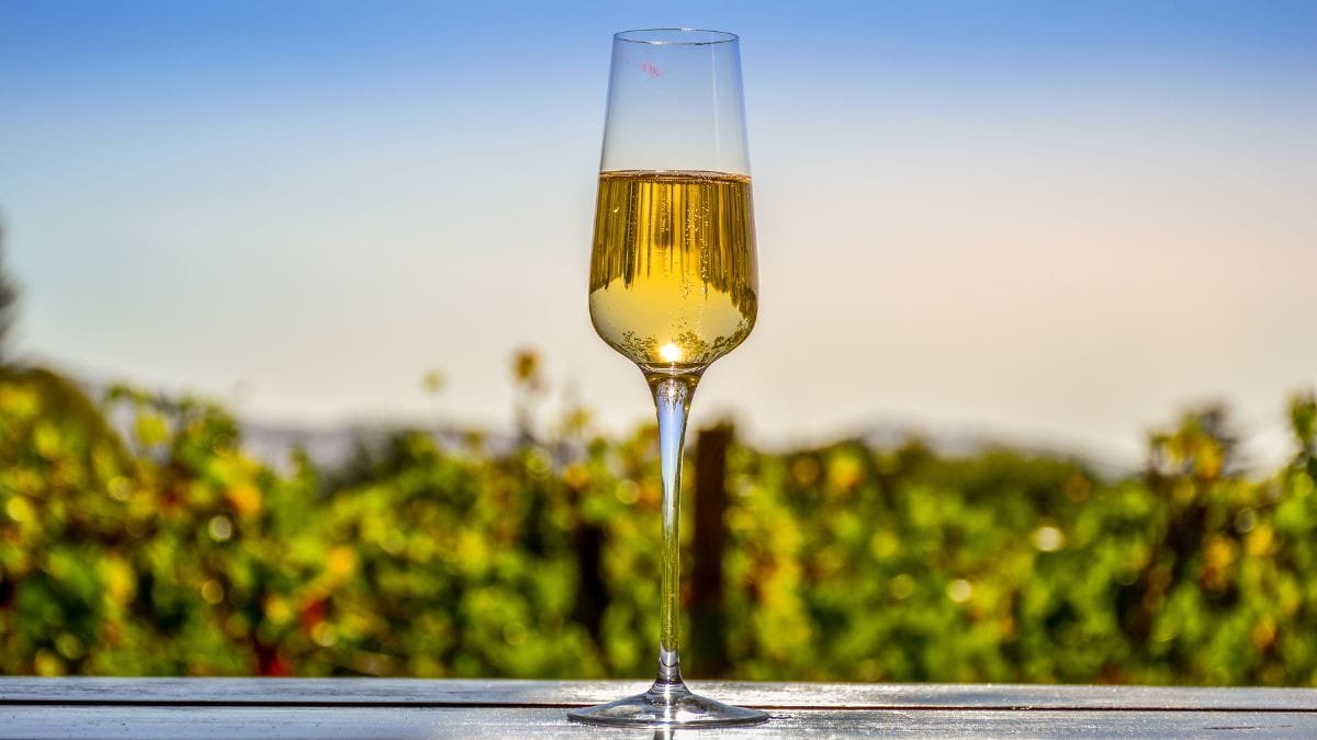 La Rioja, Castilla y León y Castilla-La Mancha, las zonas vinícolas más populares de España