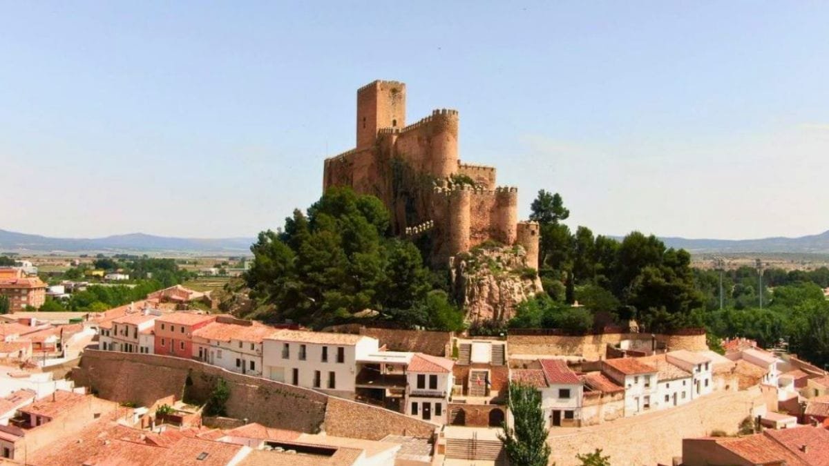 Las visitas a las bodegas de la Ruta del Vino Almansa no paran de crecer