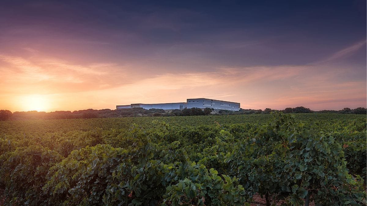 Finca Antigua, donde el vino se vive en el paisaje